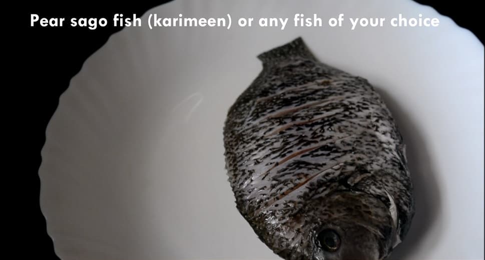 fishmolle1