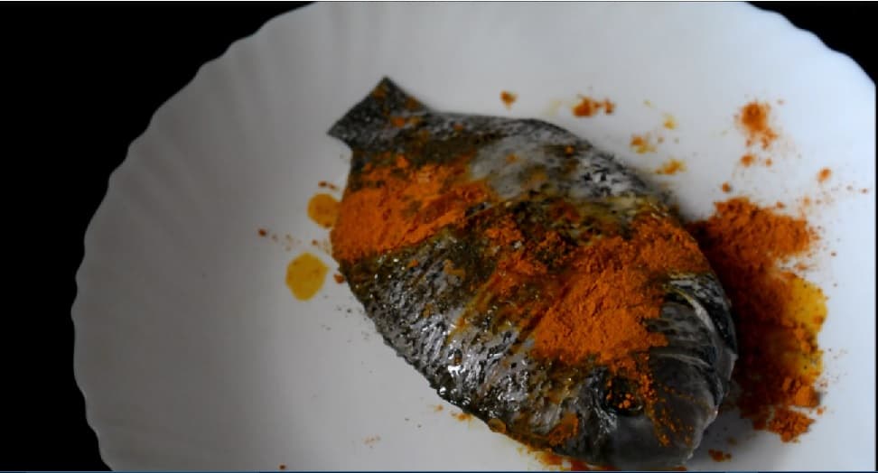 fishmollee2