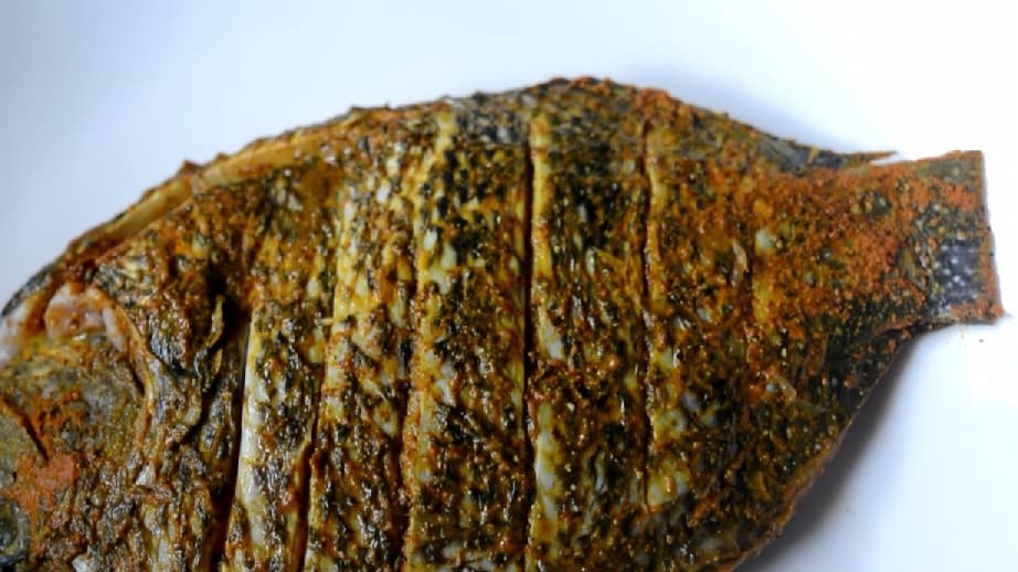 fishmollee3