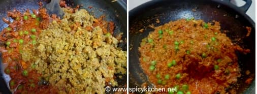 BeefKeema9